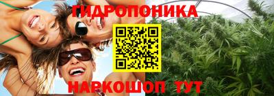 Альфа ПВП Новодвинск