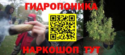 Альфа ПВП Новодвинск